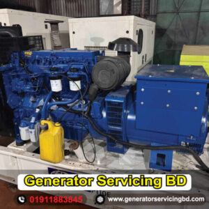 Generator Repair Servicing Company in Magura District